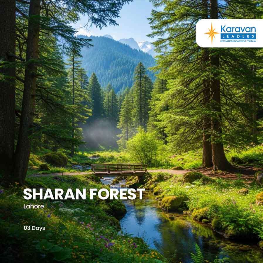 3 Days Sharan Forest Private Trip (Group tour)